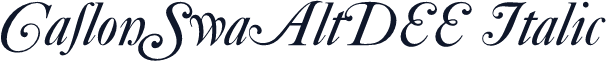 CaslonSwaAltDEE Italic
