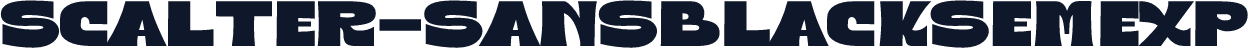Scalter-SansBlackSemExp