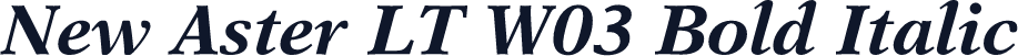 New Aster LT W03 Bold Italic