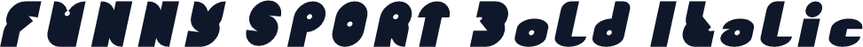 FUNNY SPORT Bold Italic