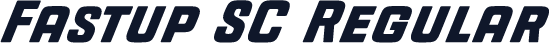Fastup SC Regular