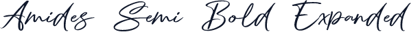 Amides Semi Bold Expanded