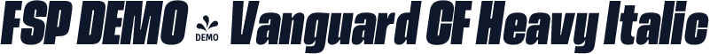 FSP DEMO - Vanguard CF Heavy Italic