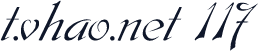 t.vhao.net 117