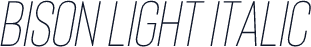 Bison Light Italic