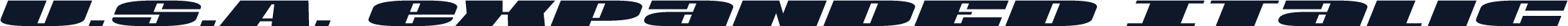 U.S.A. Expanded Italic