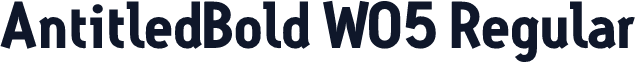 AntitledBold W05 Regular