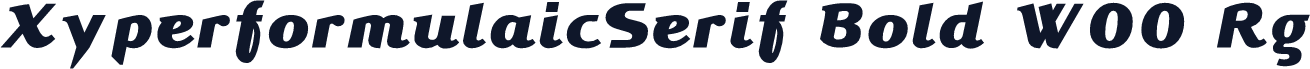 XyperformulaicSerif Bold W00 Rg