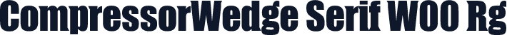 CompressorWedge Serif W00 Rg