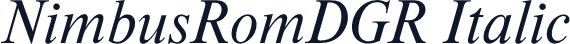 NimbusRomDGR Italic