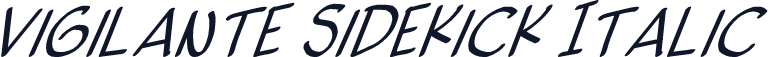 vigilante sidekick Italic