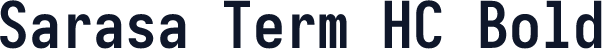 Sarasa Term HC Bold