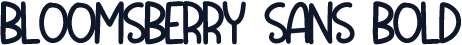 Bloomsberry Sans Bold