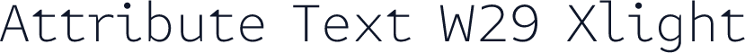 Attribute Text W29 Xlight
