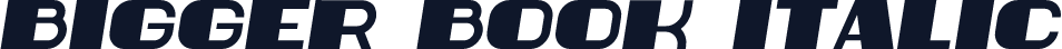 Bigger Book Italic