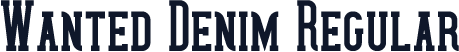 Wanted Denim Regular