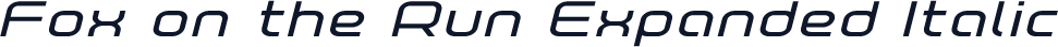Fox on the Run Expanded Italic