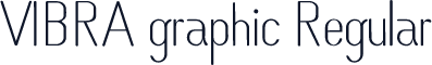 VIBRA graphic Regular