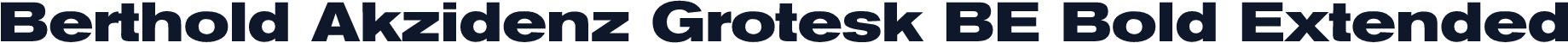 Berthold Akzidenz Grotesk BE Bold Extended