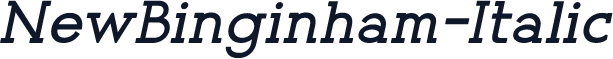 NewBinginham-Italic