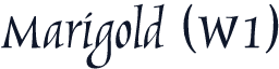 Marigold (W1)