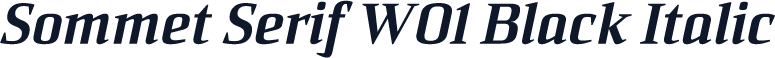 Sommet Serif W01 Black Italic