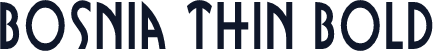 Bosnia Thin Bold