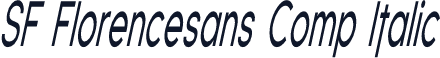 SF Florencesans Comp Italic