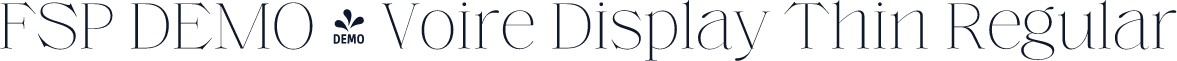 FSP DEMO - Voire Display Thin Regular