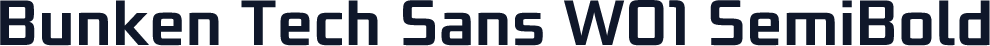 Bunken Tech Sans W01 SemiBold