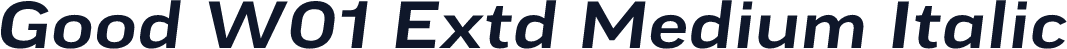 Good W01 Extd Medium Italic