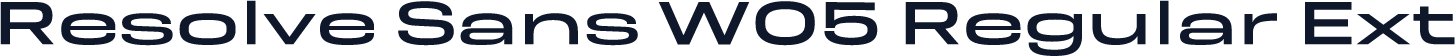 Resolve Sans W05 Regular Ext