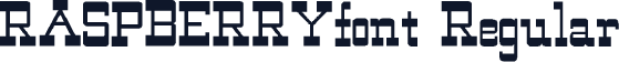 RASPBERRYfont Regular