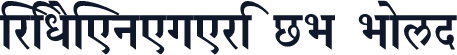 VriDeVanagari CB Bold