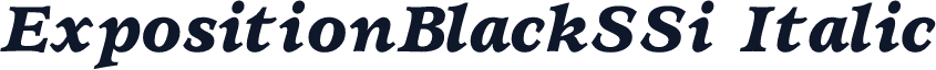 ExpositionBlackSSi Italic