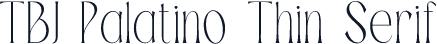 TBJ Palatino Thin Serif