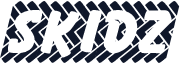 Skidz