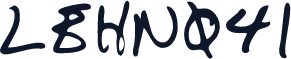 LEHN041