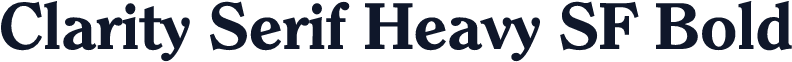 Clarity Serif Heavy SF Bold
