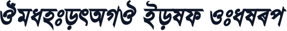 JugantorAMJ Bold Italic