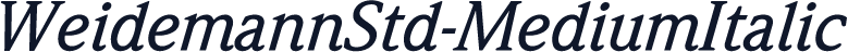 WeidemannStd-MediumItalic