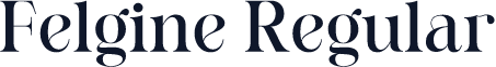 Felgine Regular