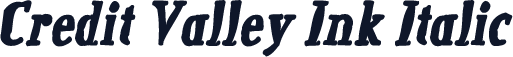Credit Valley Ink Italic