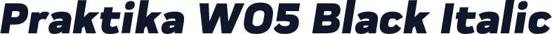 Praktika W05 Black Italic