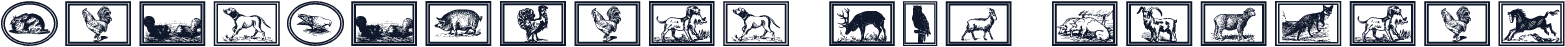 GansAnimals W05 Regular
