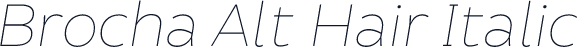Brocha Alt Hair Italic