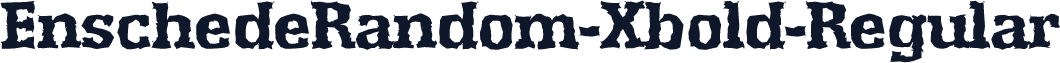 EnschedeRandom-Xbold-Regular