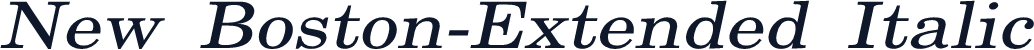 New Boston-Extended Italic