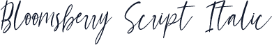 Bloomsberry Script Italic