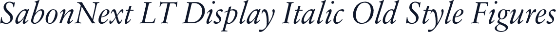 SabonNext LT Display Italic Old Style Figures